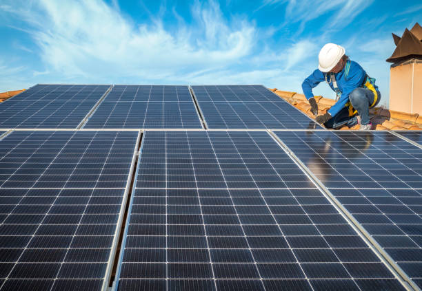 Best Roof Moss and Algae Removal  in Pahrump, NV
