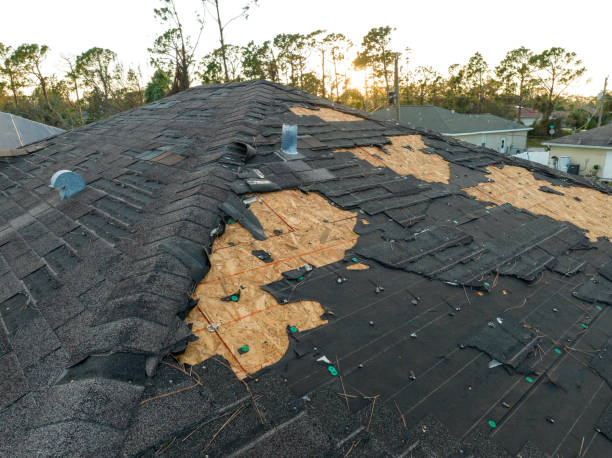 Best Solar Panel Roofing Installation  in Pahrump, NV